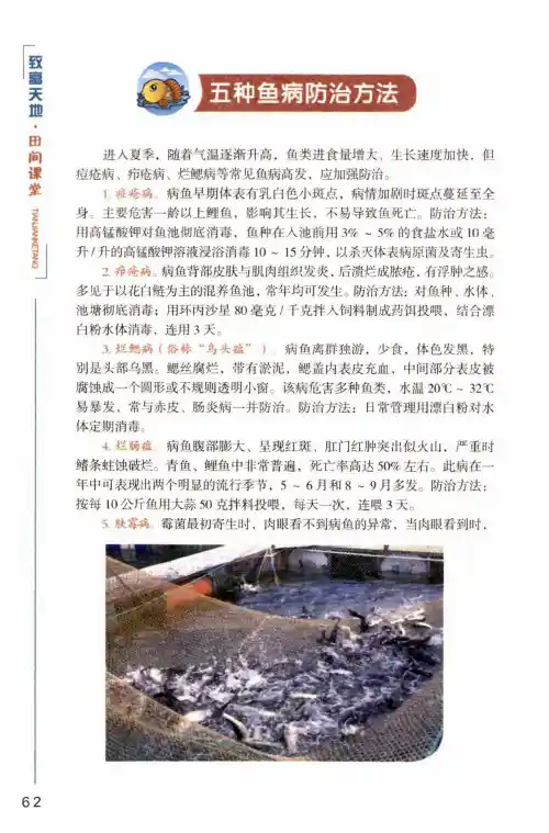 五种鱼病防治方法