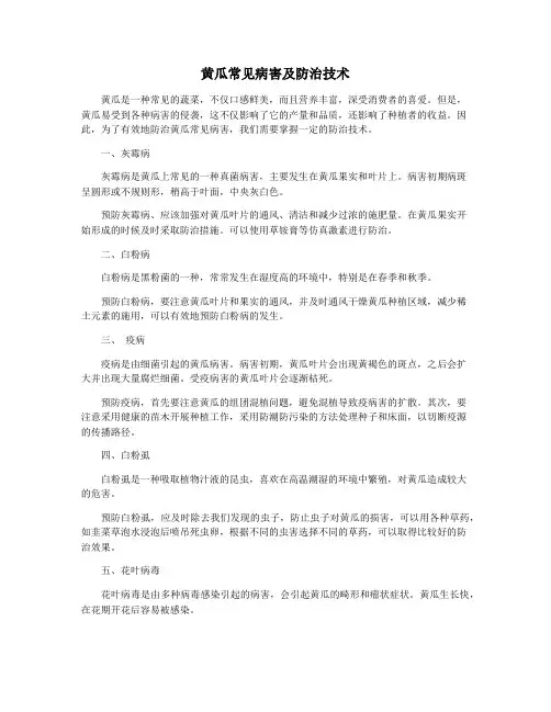 黄瓜常见病害及防治技术