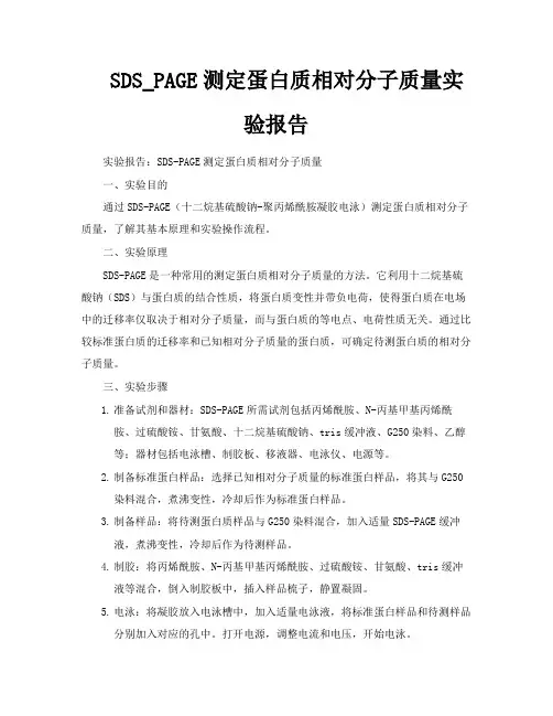 SDSPAGE测定蛋白质相对分子质量实验报告