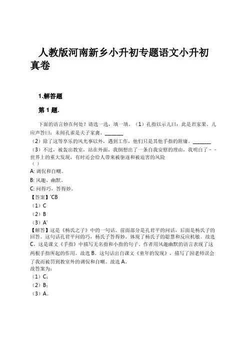 人教版河南新乡小升初专题语文小升初真卷试卷及解析