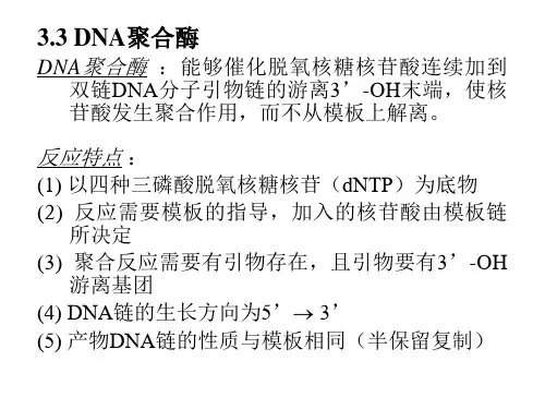 基因工程3-3基因操作的工具酶