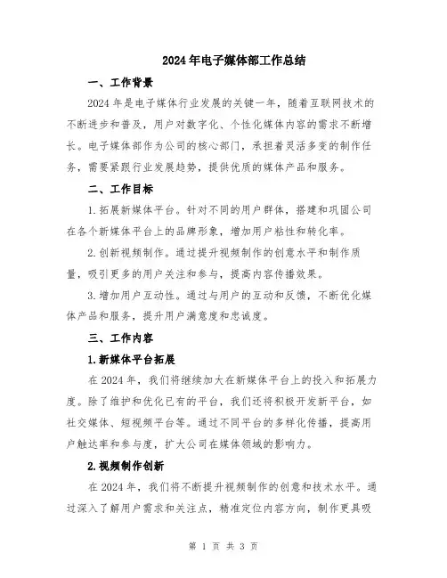 2024年电子媒体部工作总结