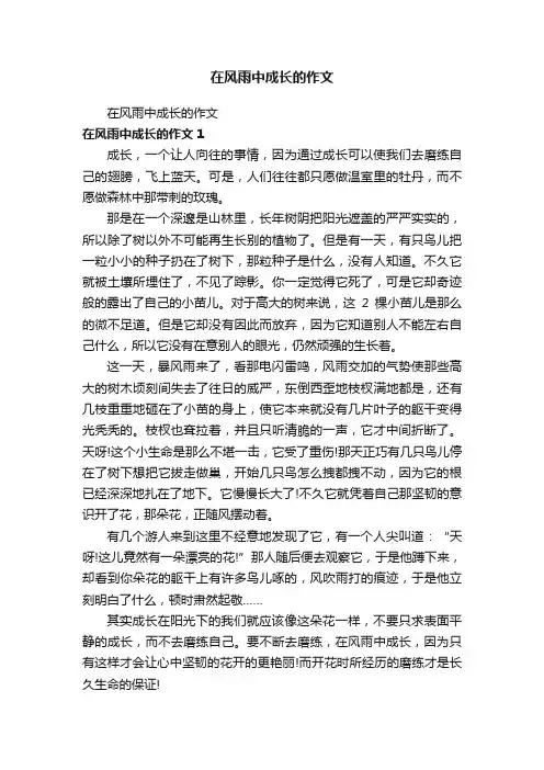 在风雨中成长的作文
