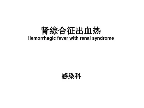 7肾综合征出血热PPT课件