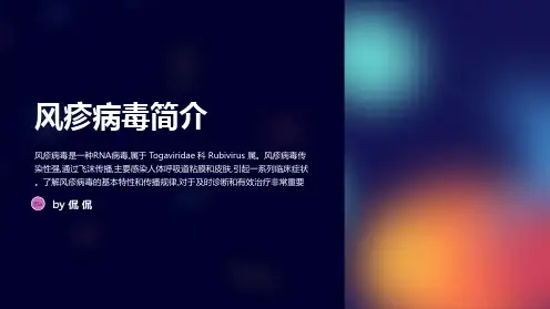 风疹病毒感染的诊断与治疗