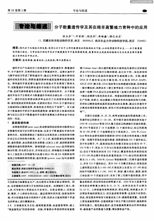 分子数量遗传学及其在绵羊高繁殖力育种中的应用