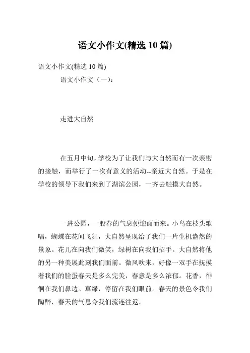 语文小作文(精选10篇)
