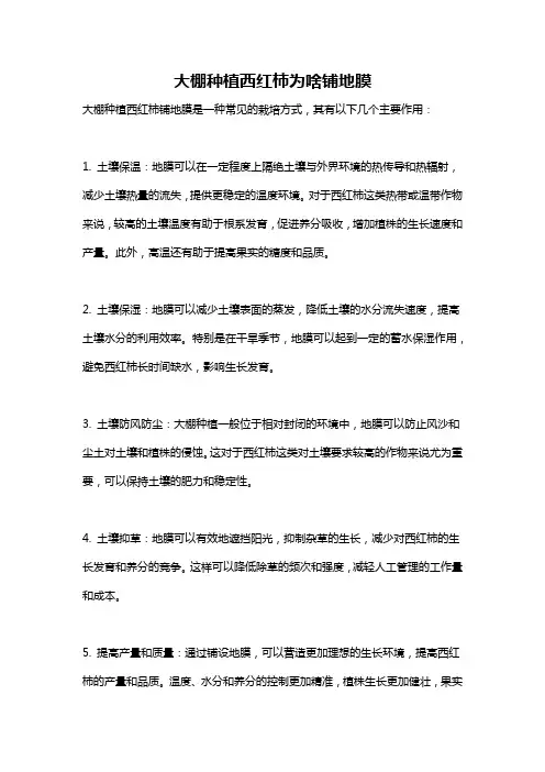 大棚种植西红柿为啥铺地膜