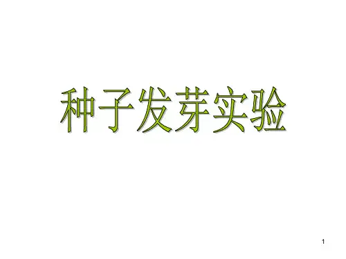 【推荐】五年级上册科学课件-1.2《种子发芽实验二》 ｜教科版(共11张PPT)