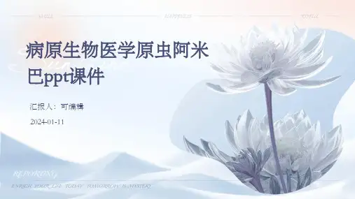 病原生物医学原虫阿米巴ppt课件