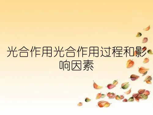 光合作用光合作用过程和影响因素