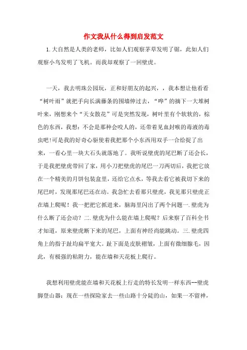 作文我从什么得到启发范文
