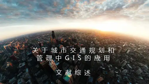 地理信息系统文献综述汇报ppt