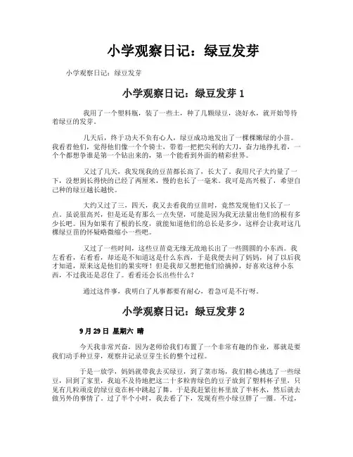 小学观察日记：绿豆发芽