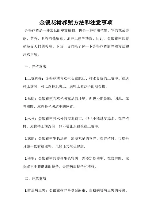 金银花树养殖方法和注意事项