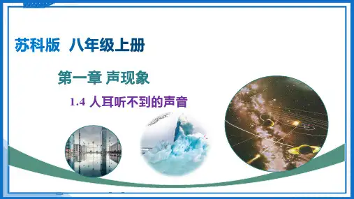 1.4 人耳听不到的声音(课件)八年级物理上册(苏科版2024)