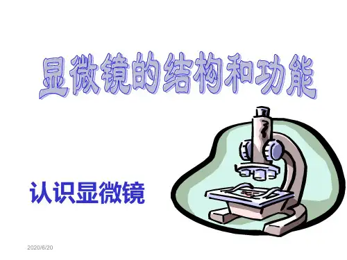 显微镜的结构及使用