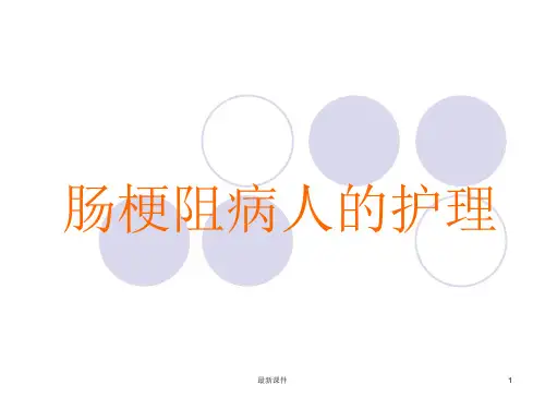 肠梗阻病人的护理ppt课件
