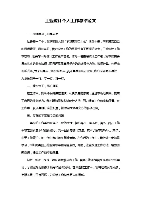 工业统计个人工作总结范文