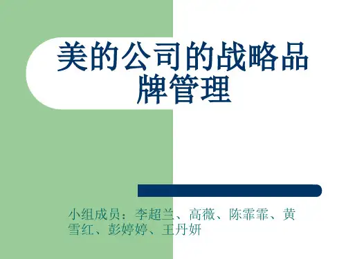 美的公司战略品牌管理流程