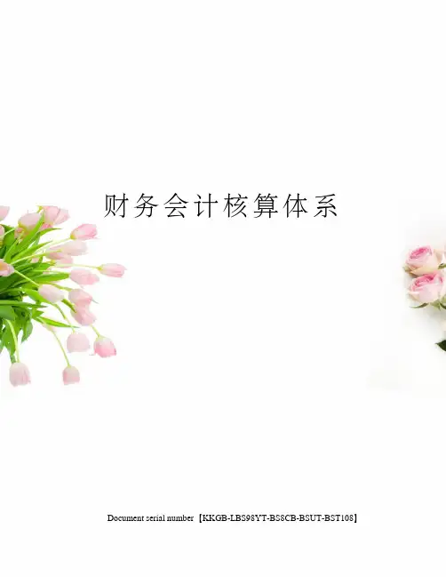 财务会计核算体系