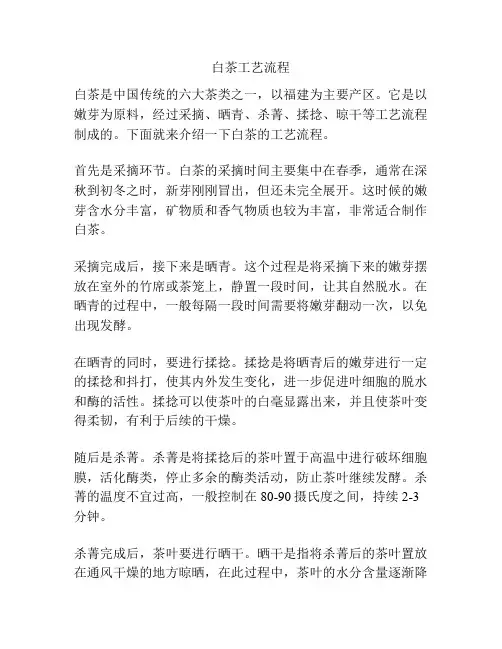 白茶工艺流程