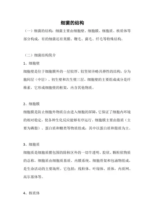简述细菌的结构