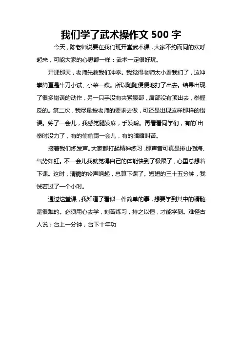 我们学了武术操作文500字