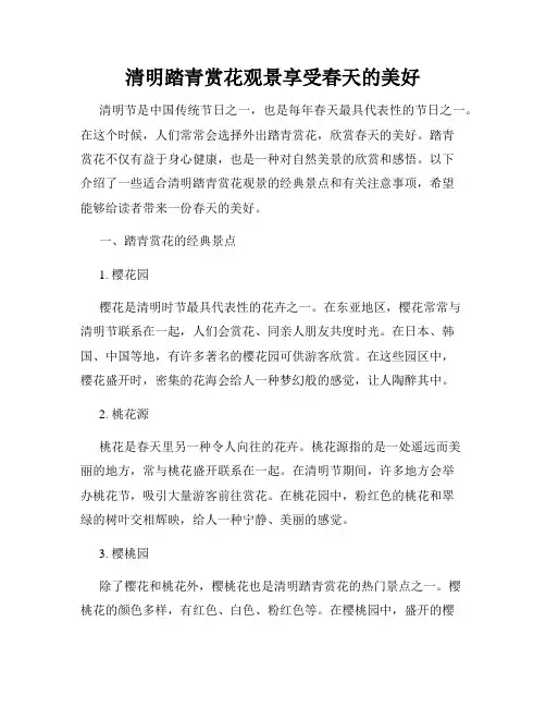 清明踏青赏花观景享受春天的美好