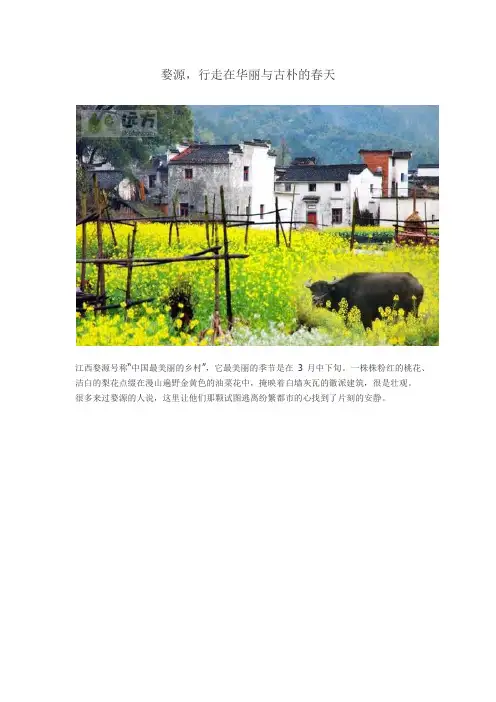 婺源,行走在华丽与古朴的春天