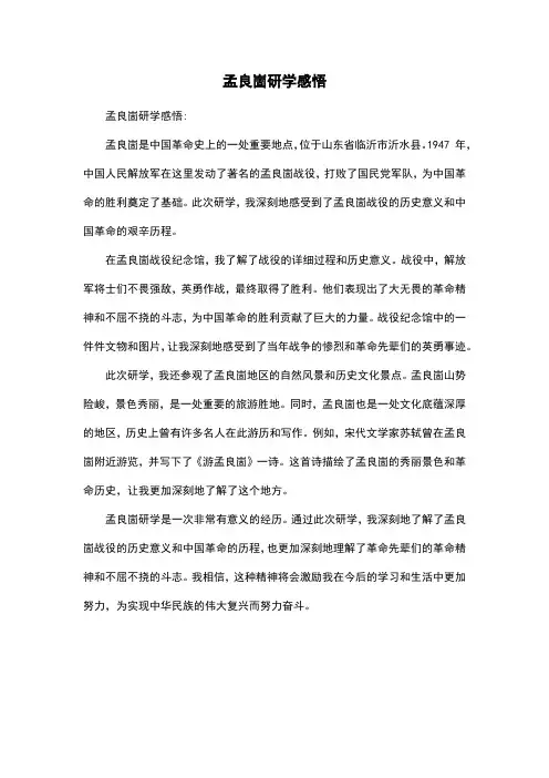 孟良崮研学感悟