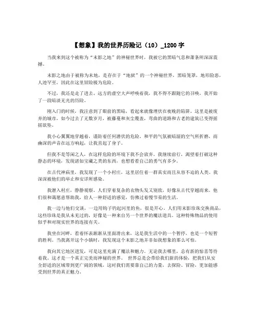【想象】我的世界历险记(10)_1200字