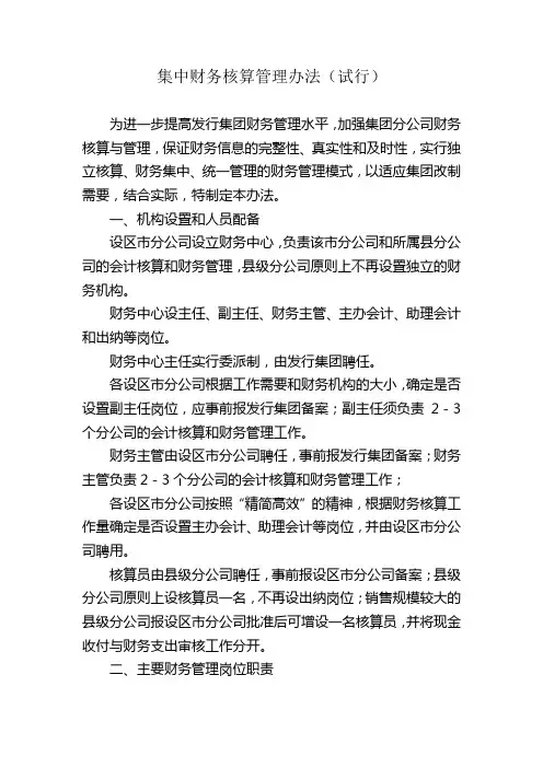 集中财务核算管理办法(试行)模版