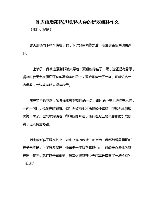 昨天雨后乘轿进城,轿夫穿的是双新鞋作文