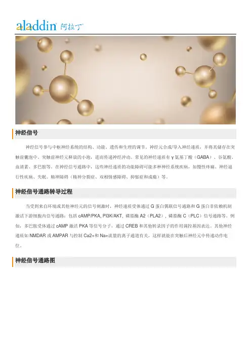 小分子抑制剂、激动剂、拮抗剂---神经信号通路