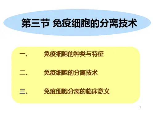 免疫细胞的分离技术