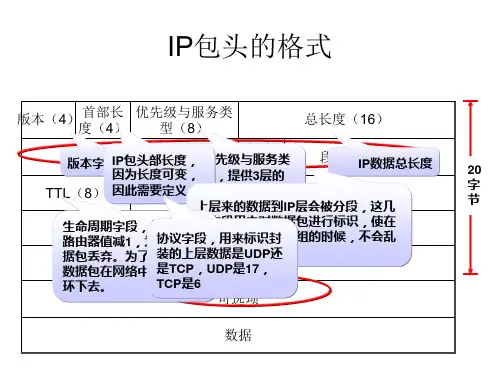IP包头的格式