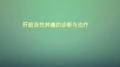 肝脏良性肿瘤的诊断与治疗ppt课件