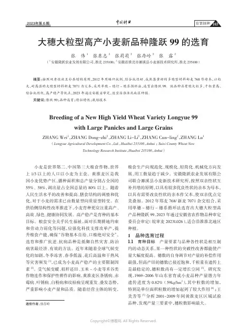 大穗大粒型高产小麦新品种隆跃99_的选育