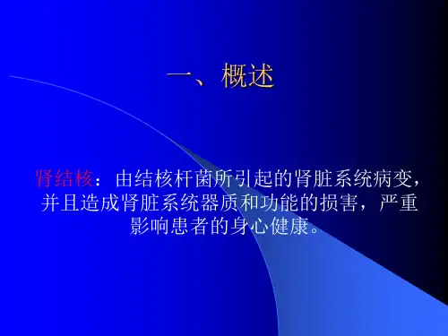 肾结核的诊断与治疗课件