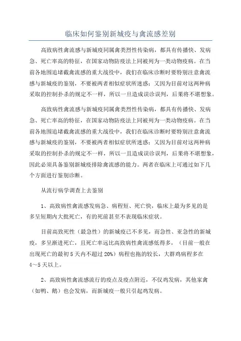 临床如何鉴别新城疫与禽流感差别