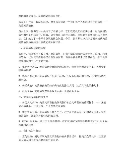 关爱流浪猫狗演讲稿范文