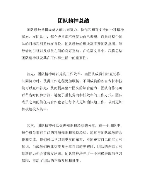 团队精神总结