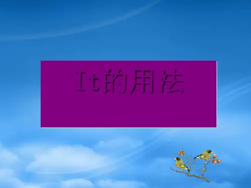 高考英语二轮复习 专题IT的用法