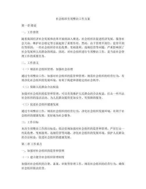 社会组织专项整治工作方案