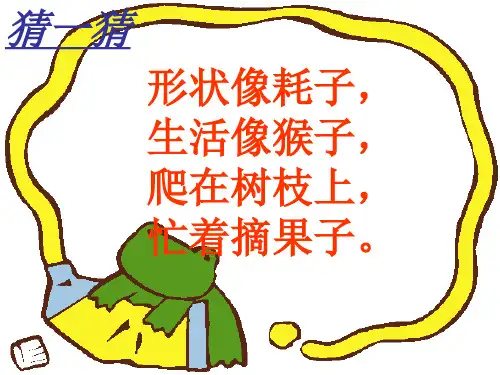 《松鼠和松果》课件