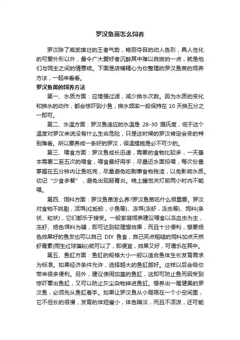 罗汉鱼苗怎么饲养