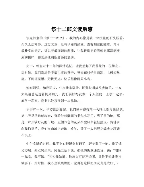 祭十二郎文读后感