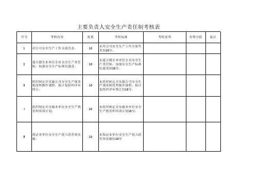 主要负责人安全生产责任制考核表