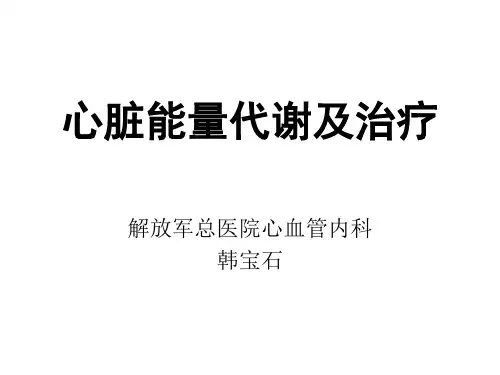 心脏能量代谢特点及治疗-301韩宝石